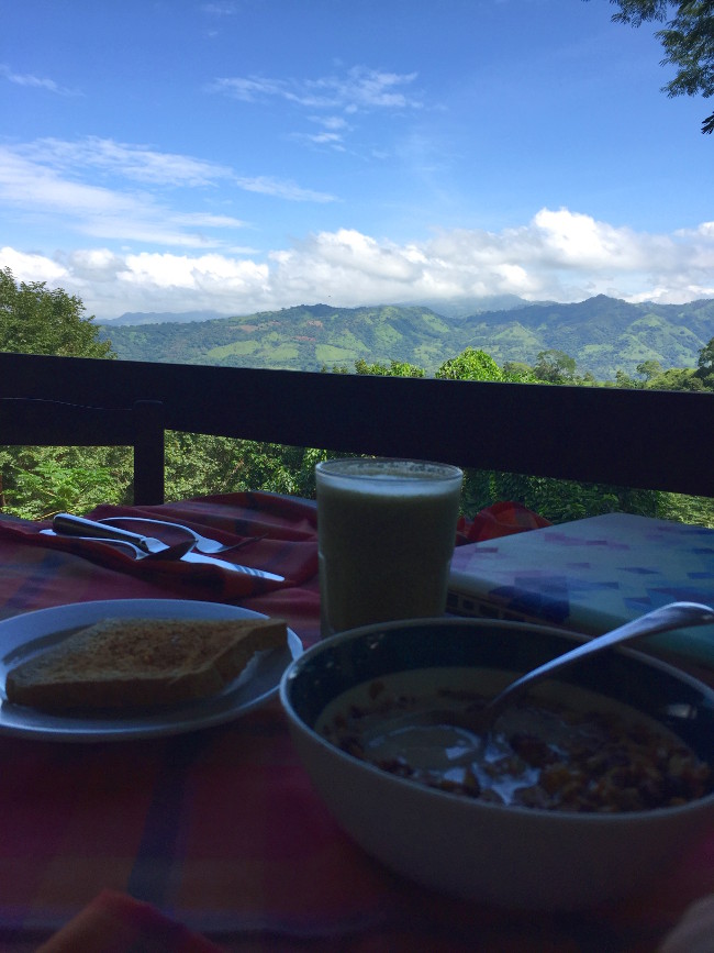 Delicious breakfast of green detox smoothie and super healthy oats