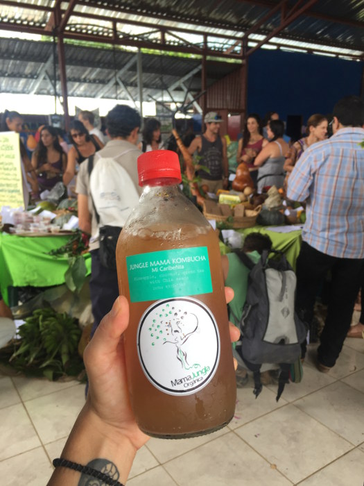 Kombucha is always a healthy choice